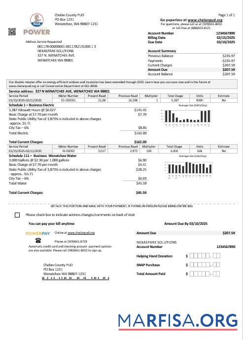 Realistic USA Washington Chelan County PUD business utility bill template in Word and PDF formats